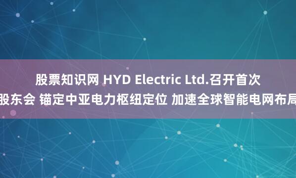 股票知识网 HYD Electric Ltd.召开首次股东会 锚定中亚电力枢纽定位 加速全球智能电网布局