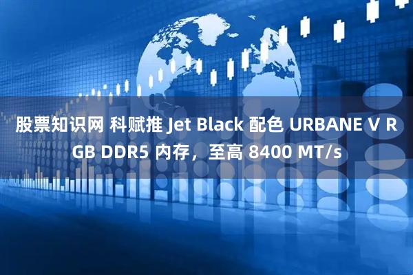 股票知识网 科赋推 Jet Black 配色 URBANE V RGB DDR5 内存，至高 8400 MT/s